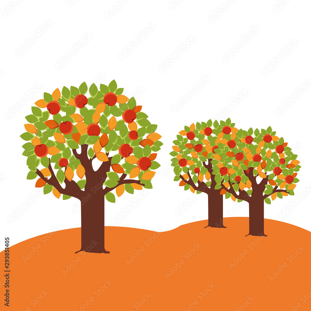 trees with acorns autumn fruits seasonal
