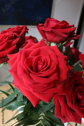 Red roses as birthday bouquet in morning light atmosphere