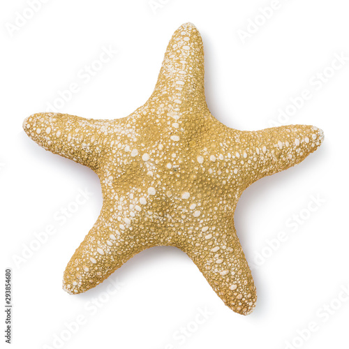 Obraz na płótnie Starfish isolated on white background, top view