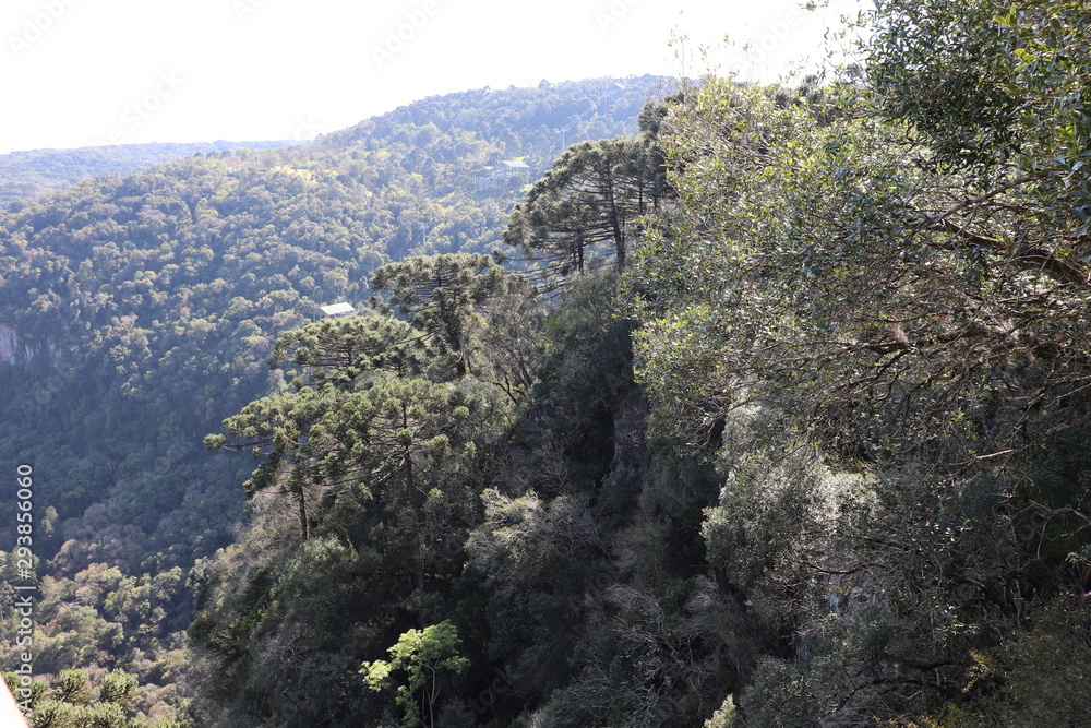  A panorama of the Caracol Waterfall seen from the Caracol Park Lookout, where you can have a privileged view of the waterfall, valley and native forest.