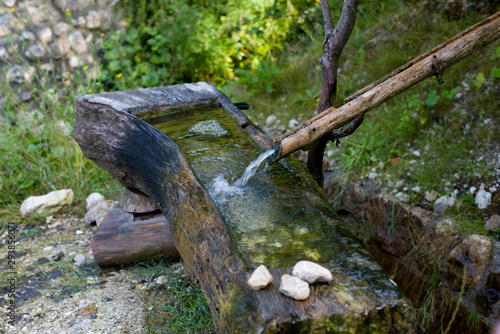 Water source in the mountains from tree