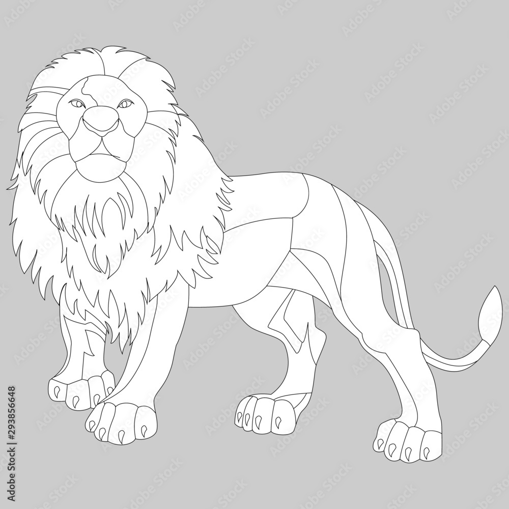Obraz premium image of a lion in black and white, wild animal, isolate on a white background