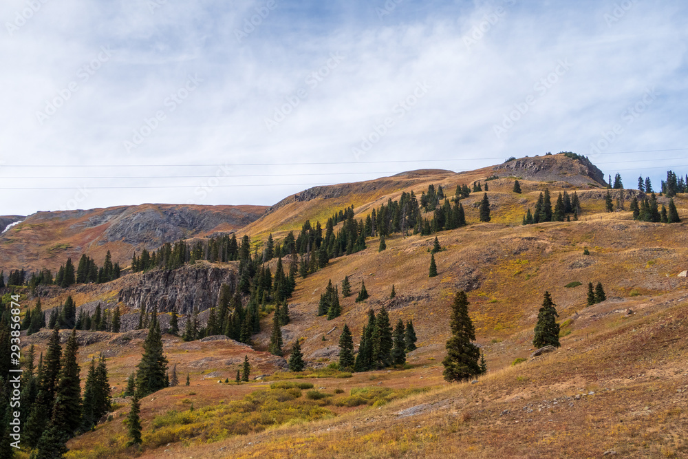 Autumn Colorado low angle landscape of rolling mountain top and a few trees