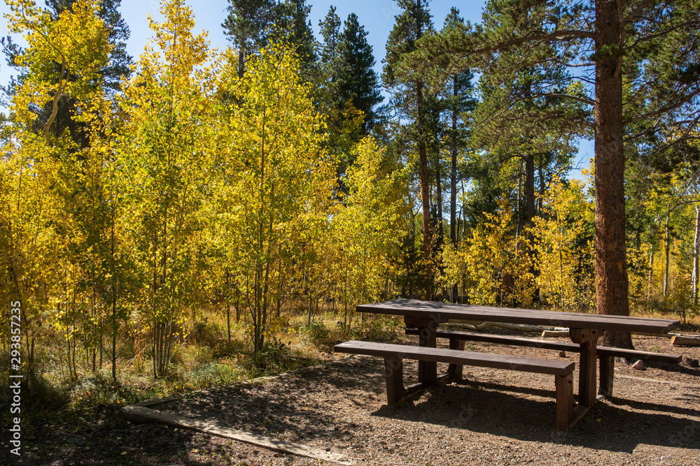 Autumn landscape of picnic table and yellow aspen trees at Kenosha Pass Campground in Colorado