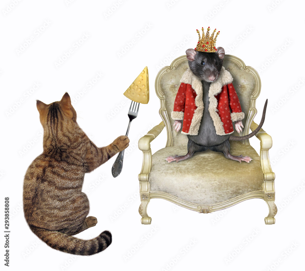 Image of a rat with a crown sitting on a throne