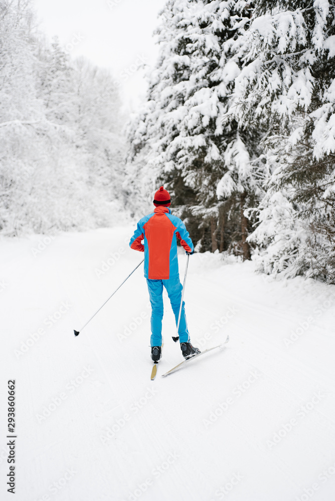 Anonymous teenager skiing in winter forest Anonymous teenager skiing in winter forest