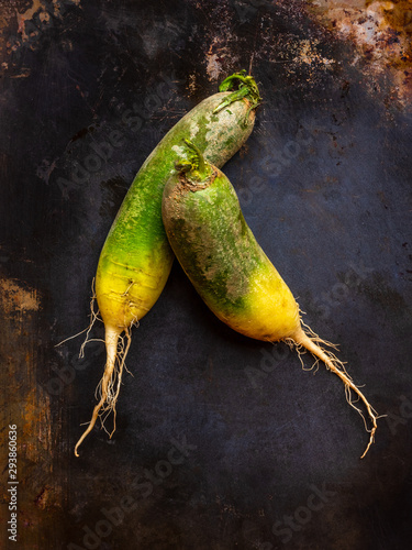 watermelon radishes photo