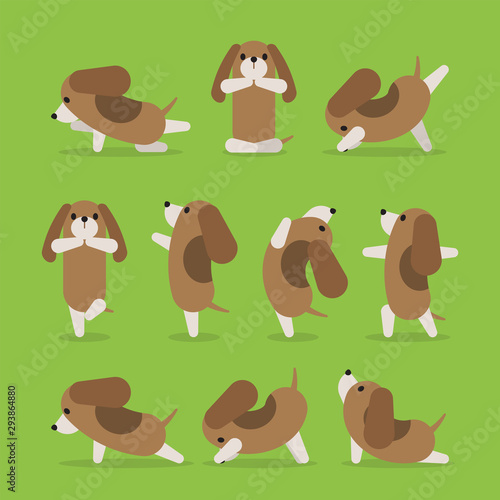 Set of dog doing yoga poses in several positions in flat style