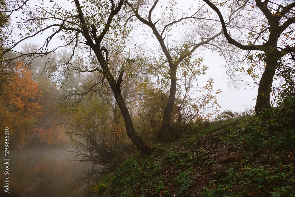 An unforgettable time of year that many creative people loved - artists and poets. Autumn. Fog. An unforgettable time of year that many creative people loved - artists and poets. Autumn. Fog.