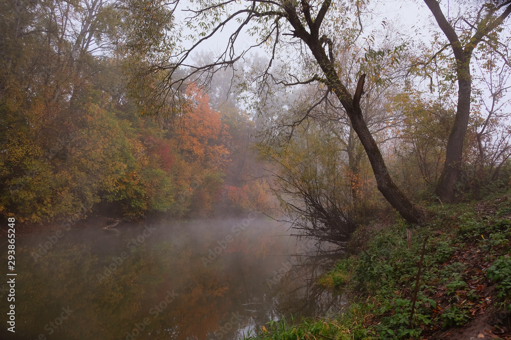 An unforgettable time of year that many creative people loved - artists and poets. Autumn. Fog.