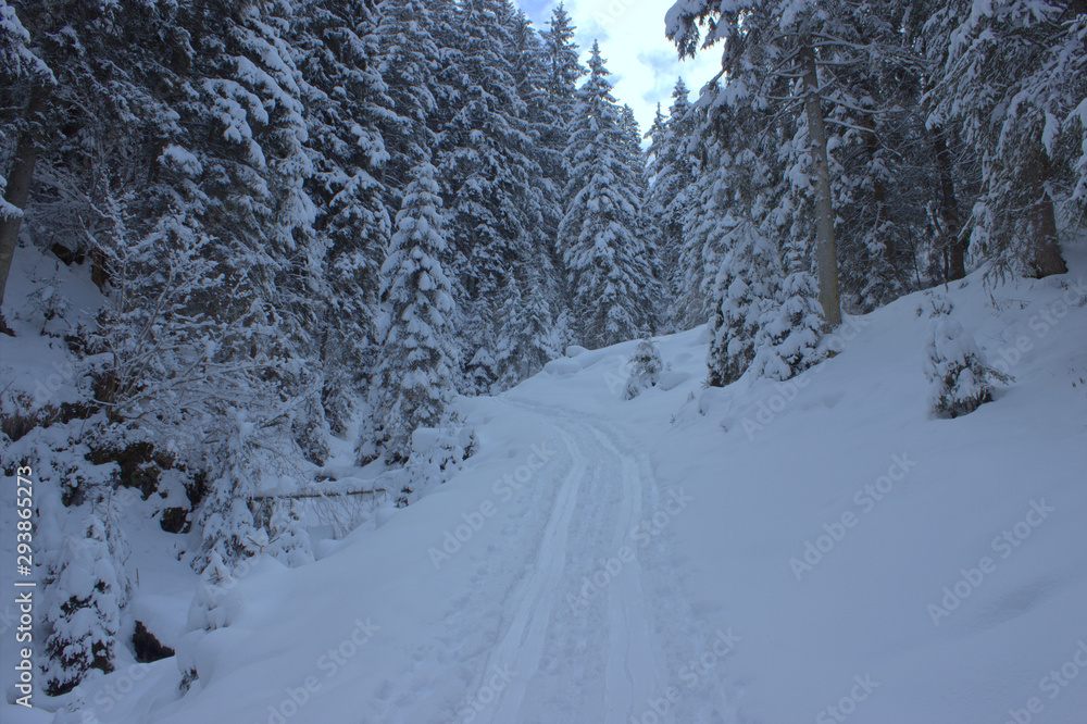 Schispuren in verschneiter Landschaft. Schispuren in verschneiter Landschaft.