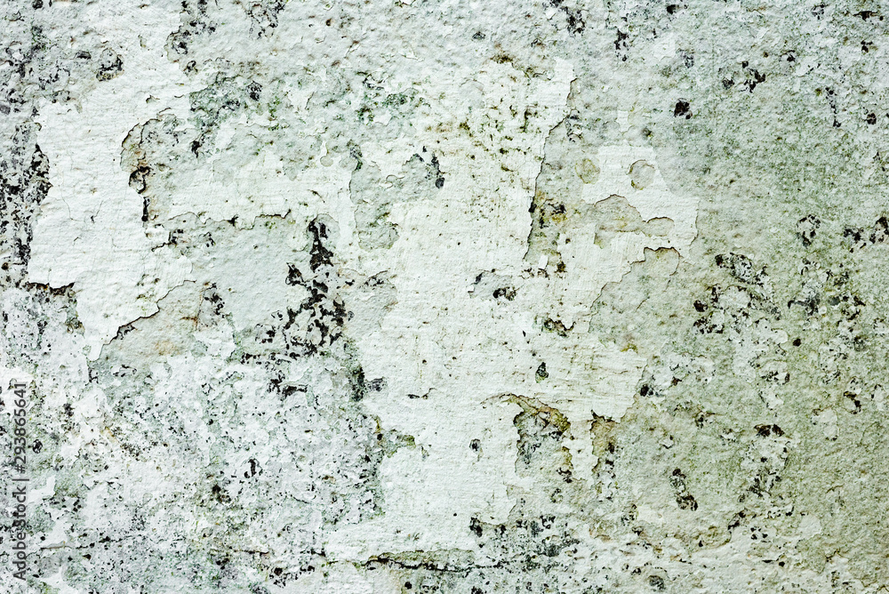 Fototapeta premium Texture of a concrete wall with cracks and scratches which can be used as a background