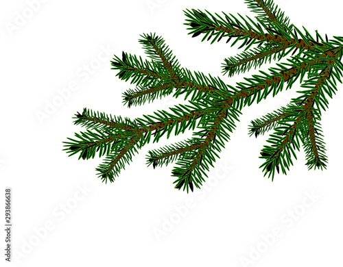 Christmas  New Year. Cards  business cards  invitations. Realistic Christmas tree branch in green. illustration