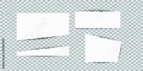 set of ripped paper notes with shadow, vector illustration