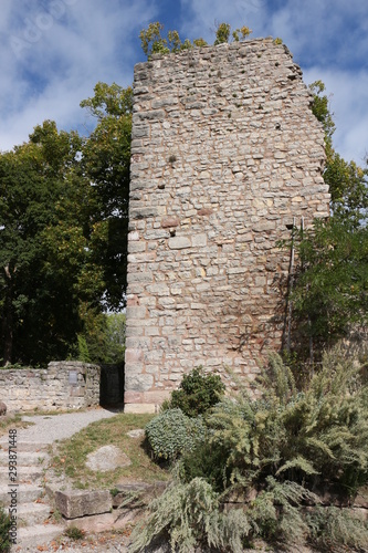 Obraz na plátně Reste der Burgruine Hohennagold im Schwarzwald