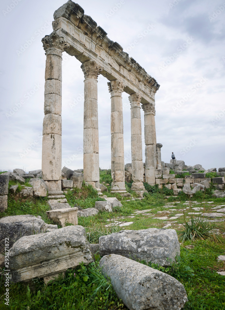The Great Colonnade at Apamea ruins, Hama Governorate, Syria