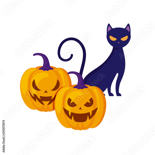 halloween pumpkins with cat isolated icon © djvstock