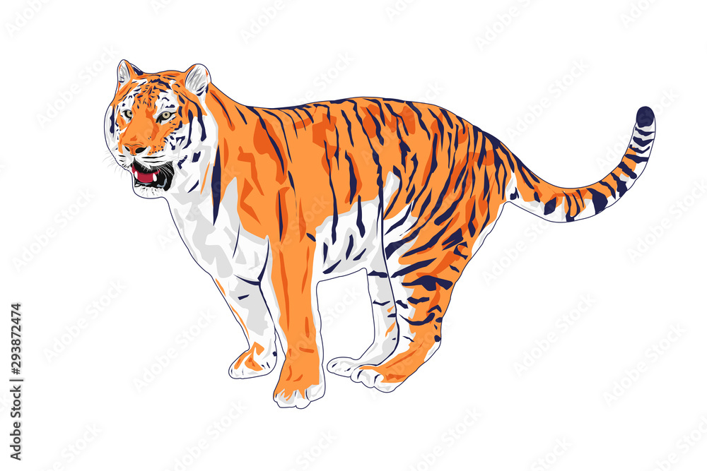 Obraz premium Amur tiger illustration, tiger on isolated white background vector