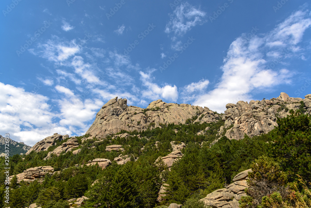 Landscape of Landscape of