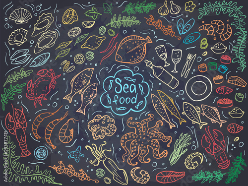 Set of colorful seafood on chalckboard. Vector illustration. Perfect for menu or food package design.