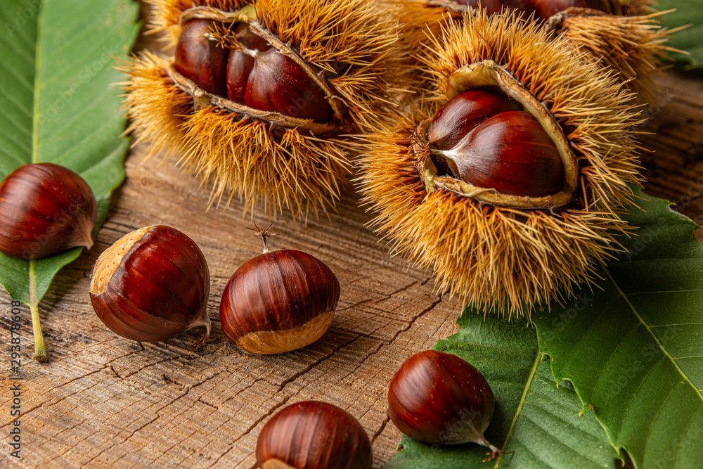 Sweet Chestnuts - Castanea sativa on an old wooden table Sweet Chestnuts - Castanea sativa on an old wooden table
