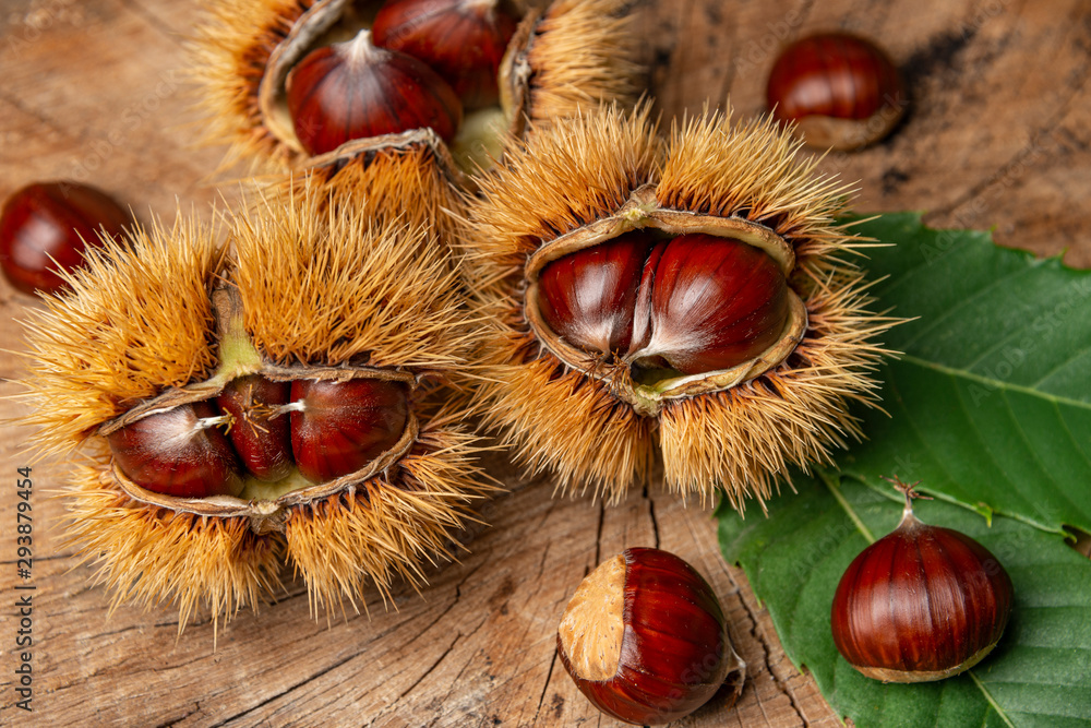 Sweet Chestnuts - Castanea sativa on an old wooden table Sweet Chestnuts - Castanea sativa on an old wooden table