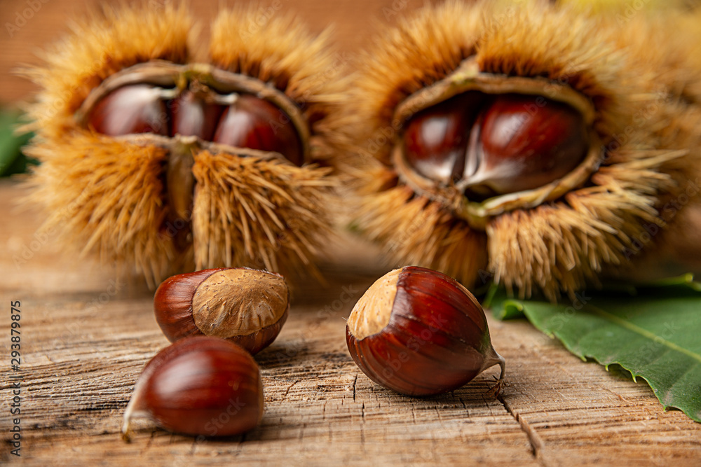 Sweet Chestnuts - Castanea sativa on an old wooden table Sweet Chestnuts - Castanea sativa on an old wooden table