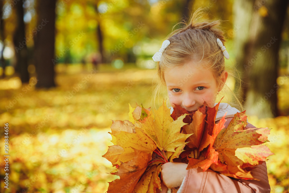Autumn portrait of cute curly girl.Little funny girl playing with yellow leaves in the forest. Child on a walk in the autumn park. Golden autumn. toddler girl , portrait with bouquet of autumn leaves Autumn portrait of cute curly girl.Little funny girl playing with yellow leaves in the forest. Child on a walk in the autumn park. Golden autumn. toddler girl , portrait with bouquet of autumn leaves