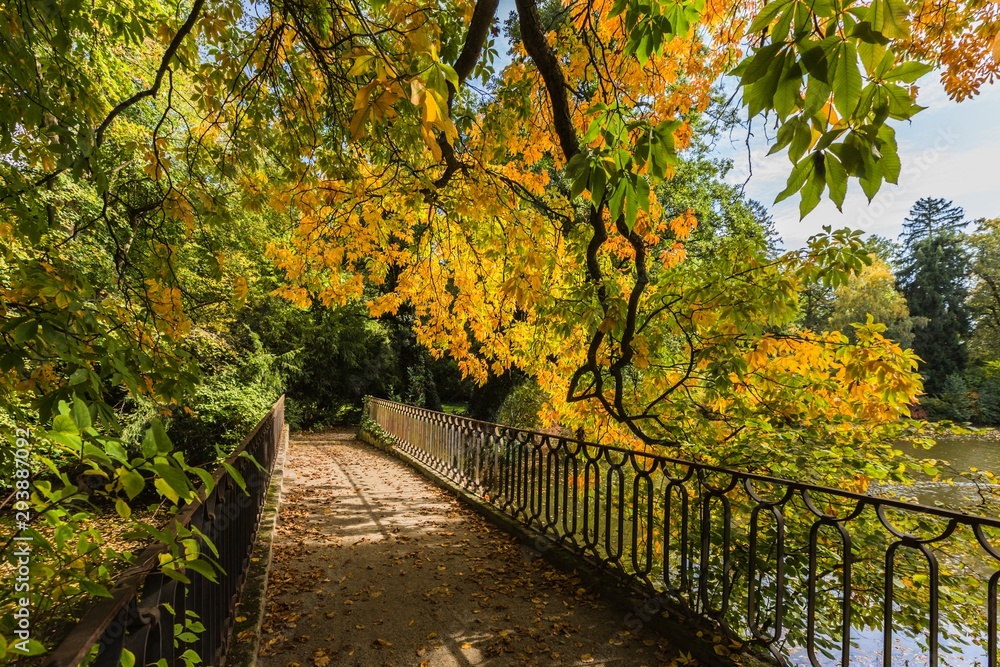 Naklejka premium A park with bridge over water with iron railing, sandy foot path and colorful yellow and green trees on a sunny autumn day. Dry leaves on ground.