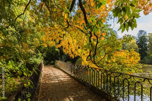 A park with bridge over water with iron railing  sandy foot path and colorful yellow and green trees on a sunny autumn day. Dry leaves on ground.