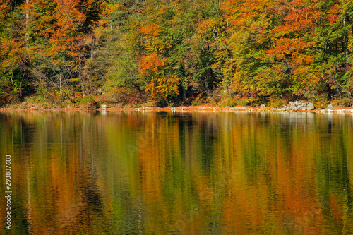 Stunning view of the forest with turning leaves reflected in the tranquil lake.