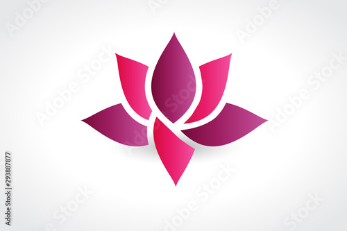 Pink lotus flower logo vector image web design