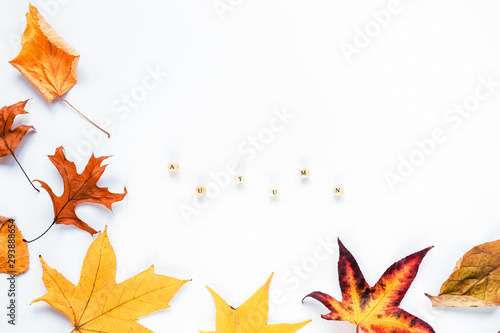 Autumnal Yellow leaves on white background, Word "Autumn", flat lay, copy space