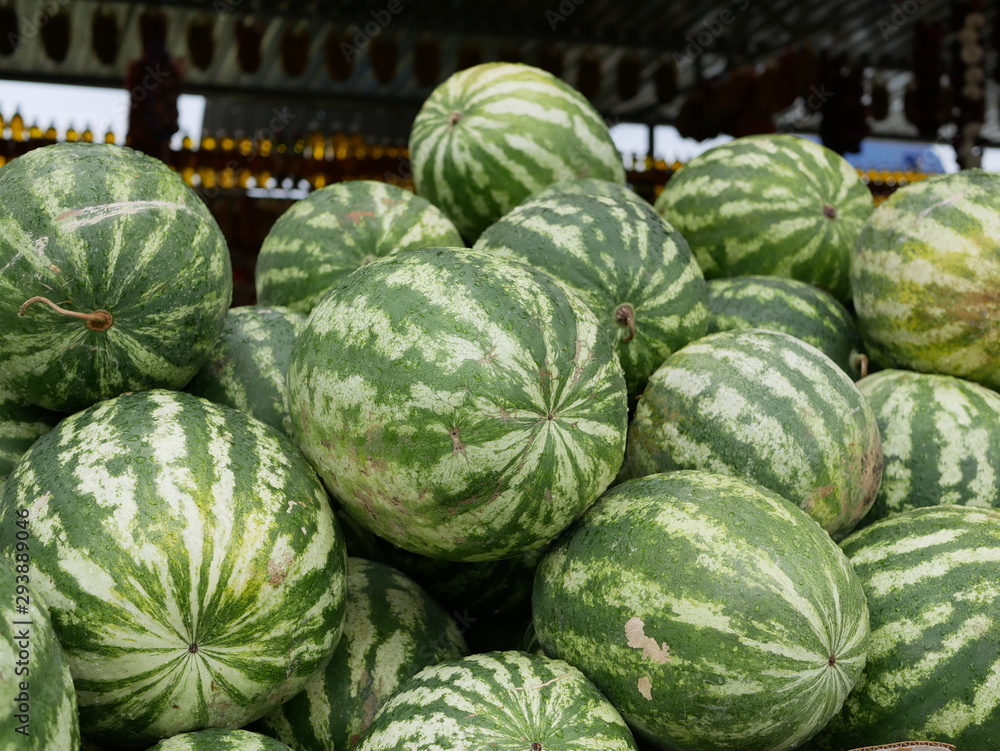 new crop of watermelons. big ripe striped watermelons at an agricultural fair on a Sunny summer day.
