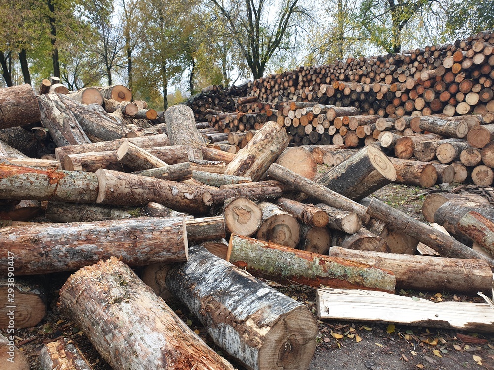 Firewood and logs. Solid fuel. Chipped wood firewood. Stock Photo | Adobe  Stock