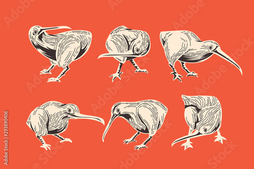 Kiwi bird icon with engraved style