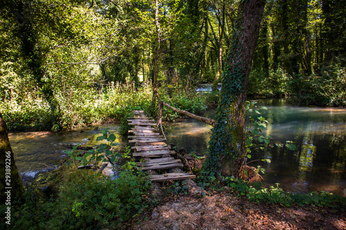 River and forest on Janjske otoke near the Sipovo, Bosnia and Herzegovina photo