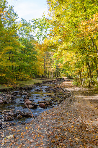 Stream in Whetstone Gulf State Park, New York
