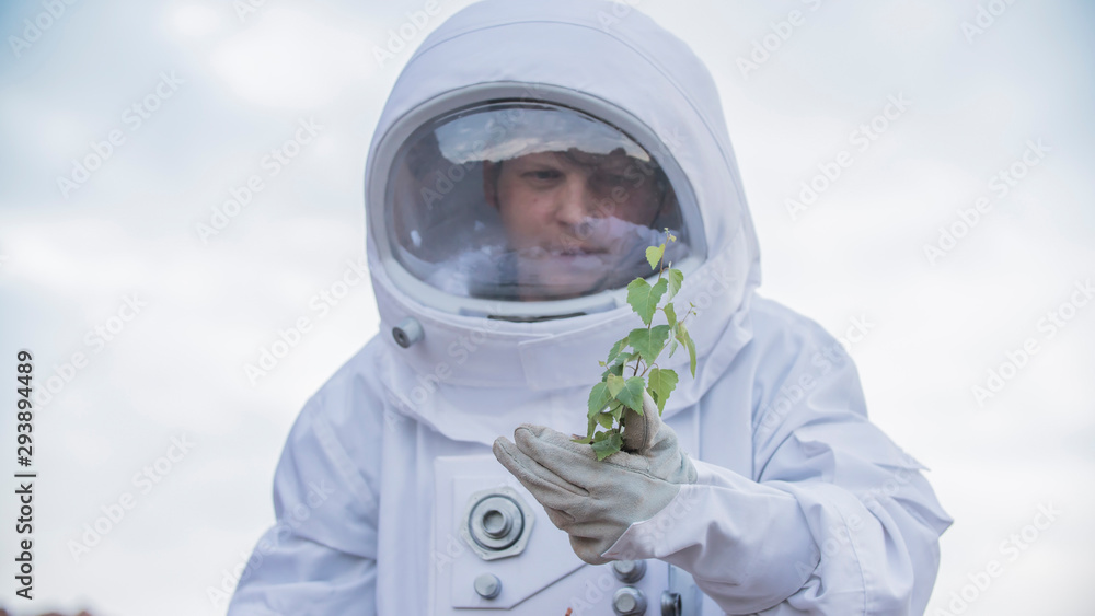 Obraz premium Astronauts Analyzing Plant Life Found on Alien Planet