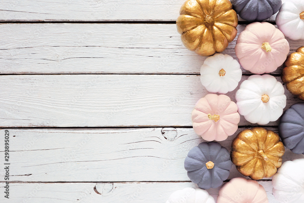 Fototapeta premium Autumn side border of dusty rose, white, gold and gray pumpkins on a white wood background. Modern muted pastel colors. Top view with copy space.