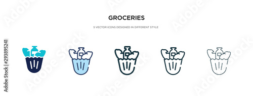 groceries icon in different style vector illustration. two colored and black groceries vector icons designed in filled, outline, line and stroke style can be used for web, mobile, ui