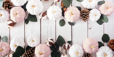 Fall double border banner of dusty rose and white pumpkins and eucalyptus leaves over a white wood background. Top view with copy space.