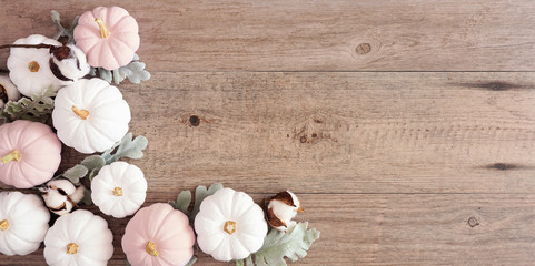 Autumn corner border of dusty rose and white pumpkins with silver leaves and cotton flowers. Overhead view on a light wood background with copy space.