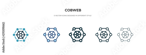 cobweb icon in different style vector illustration. two colored and black cobweb vector icons designed in filled, outline, line and stroke style can be used for web, mobile, ui
