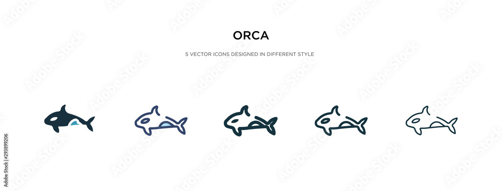 orca icon in different style vector illustration. two colored and black orca vector icons designed in filled, outline, line and stroke style can be used for web, mobile, ui