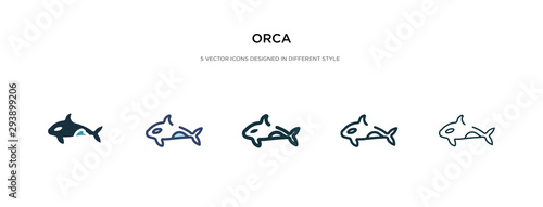 orca icon in different style vector illustration. two colored and black orca vector icons designed in filled, outline, line and stroke style can be used for web, mobile, ui