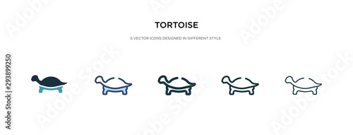 tortoise icon in different style vector illustration. two colored and black tortoise vector icons designed in filled, outline, line and stroke style can be used for web, mobile, ui photo