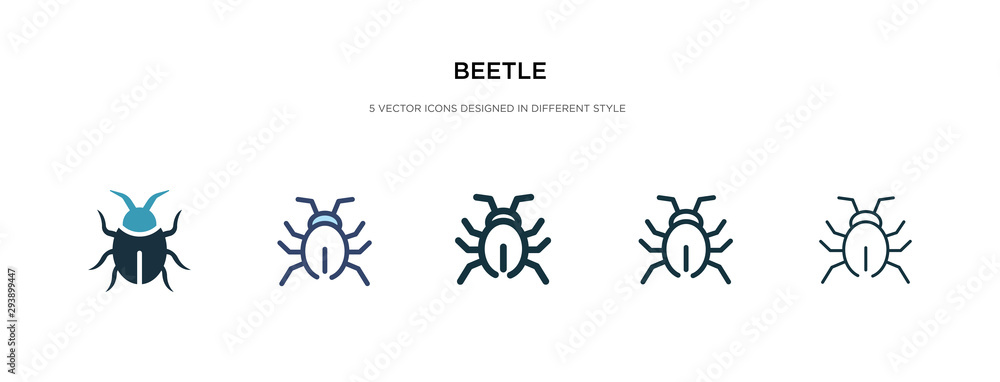 beetle icon in different style vector illustration. two colored and black beetle vector icons designed in filled, outline, line and stroke style can be used for web, mobile, ui