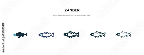 zander icon in different style vector illustration. two colored and black zander vector icons designed in filled, outline, line and stroke style can be used for web, mobile, ui photo