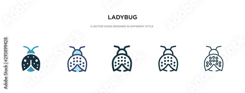 ladybug icon in different style vector illustration. two colored and black ladybug vector icons designed in filled, outline, line and stroke style can be used for web, mobile, ui